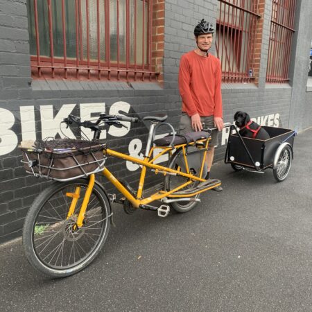 Cargobike Dogs