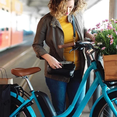 Lady with Benno E-Joy