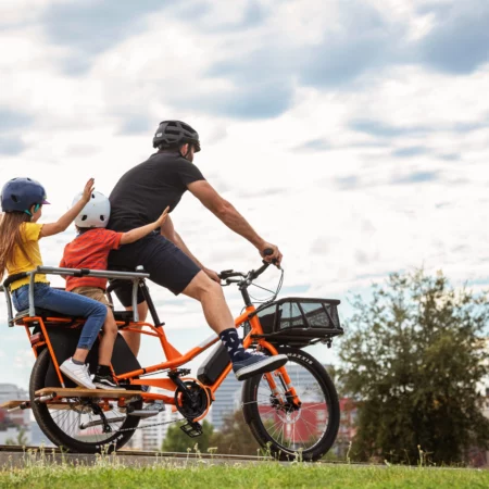 carry kids on bikes a family friendly cargo bike designed to carry 2 children safely
