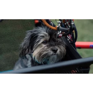 Muli Muskel Cargo Bike