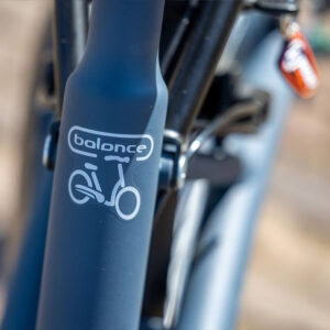 vanRaam Balance E-Bike