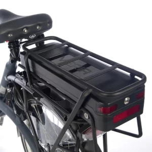 vanRaam Balance E-Bike