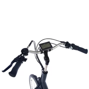 vanRaam Balance E-Bike