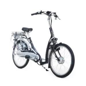 vanRaam Balance E-Bike