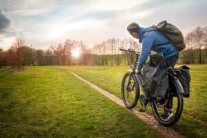 Pendix eDrive Electric Conversion Kit