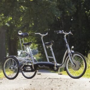 vanRaam Twinny Plus electric tandem