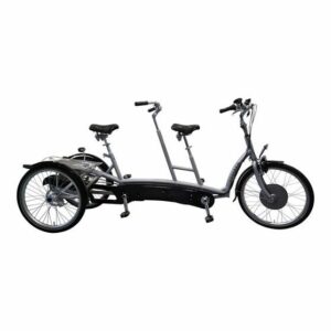 vanRaam Twinny Plus electric tandem
