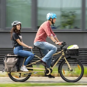 Yuba Mundo Electric EP801