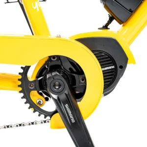 Yuba Mundo Electric EP801