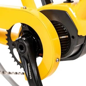 Yuba Mundo Electric EP801