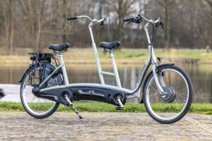 vanRaam Twinny electric tandem
