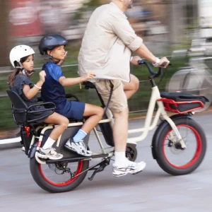 Benno RemiDemi XL EVO 1