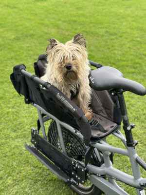 Yuba WoofTop Pet Carrier