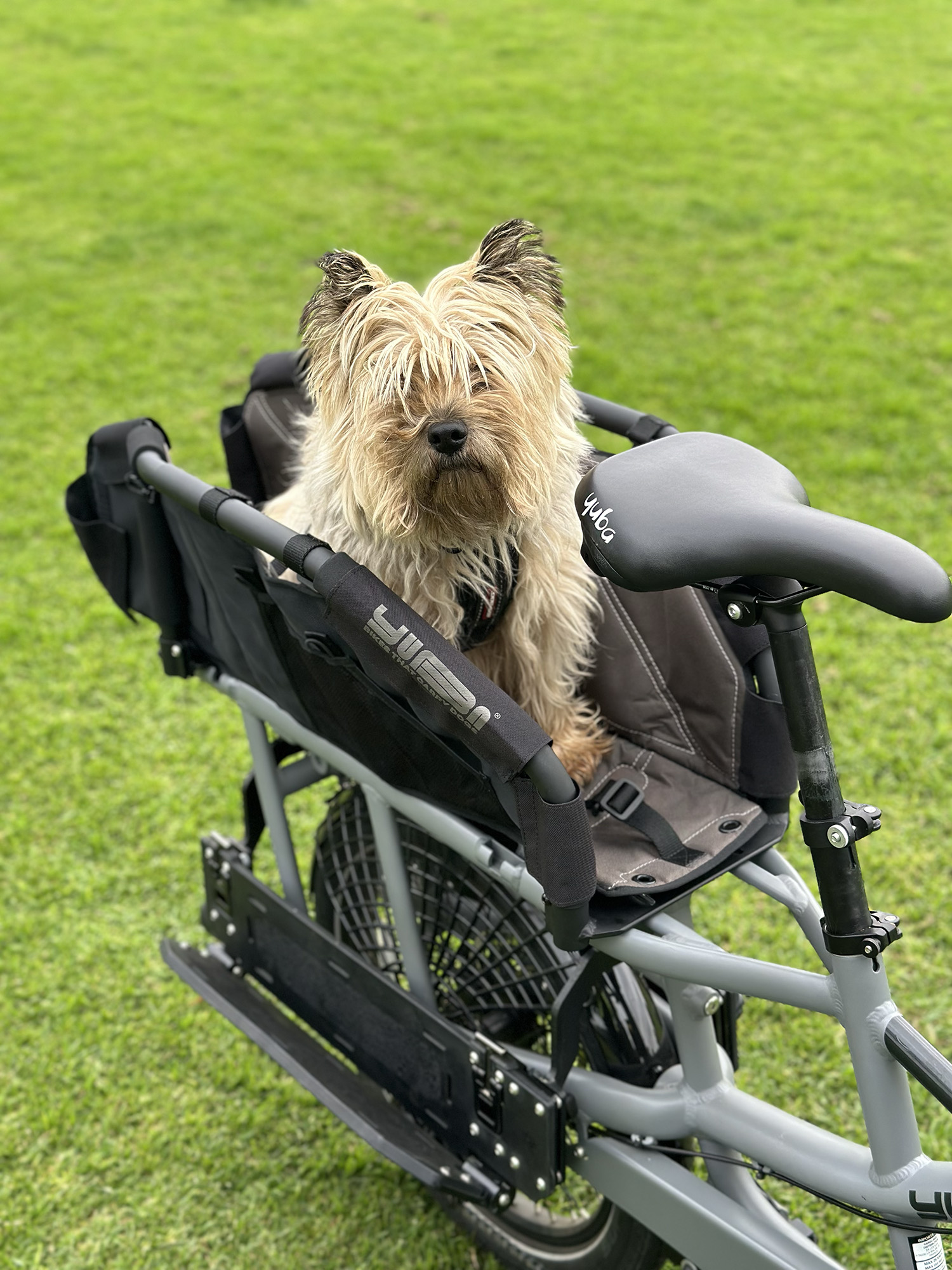 Yuba WoofTop Pet Carrier