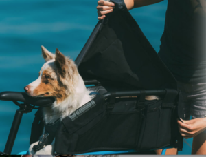 Yuba WoofTop Pet Carrier