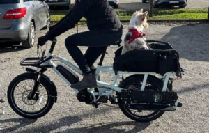 Yuba WoofTop Pet Carrier