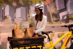 Yuba Monkey Bar Tote Bag